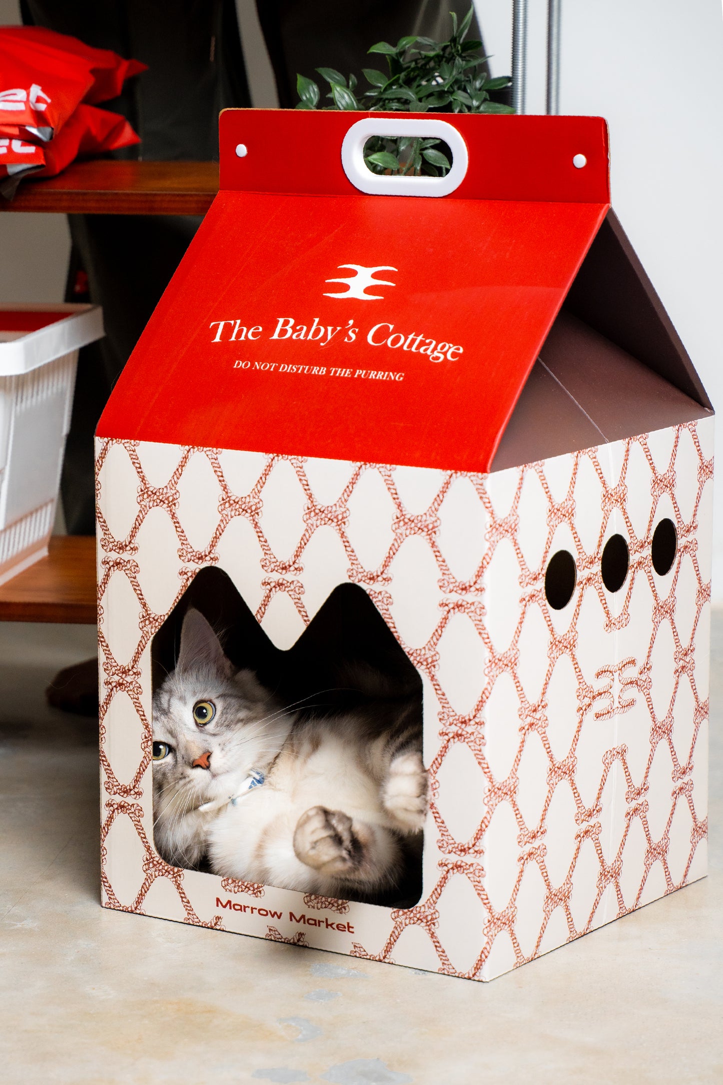 Baby’s Milk Cottage